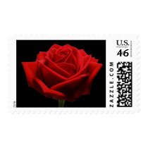 Red Rose Wedding Flower Postage Stamps