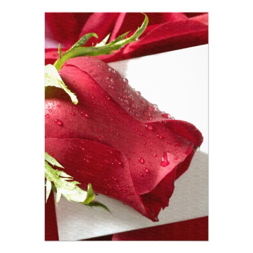 red rose wedding invitations