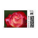 Red Rose Wedding Postage Stamp