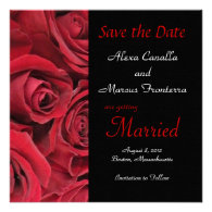 Red Rose Wedding Save the Date Announcement Card