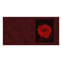 Red Rose. With Black and Deep Red. Photo Card Template
