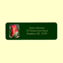 Red Rosebud Flower Address Label labels