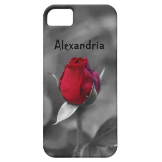 Red Rosebud