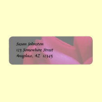 Red Rosebud Raindrops Flower Address Label labels