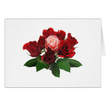 Red Roses and a Pink Rose cards