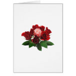 Red Roses and a Pink Rose Greeting Cards