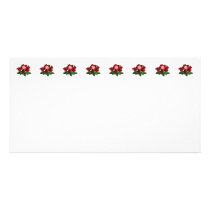 Red Roses and a Pink Rose photo cards