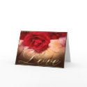Red Roses and Sand Dollars - Love cards by ambermooncards Red Roses and Sand Dollars - Love cards