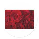 Red Roses and Water Drops stickers