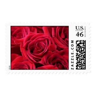 Red Roses Bouquet