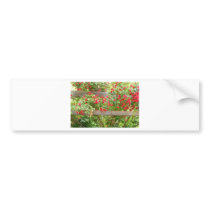 red roses bumper stickers by tina312 red roses bumper stickers