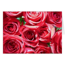 Red Roses Bunch card by ditayhoff Red Roses Bunch card