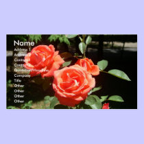 Red Roses business cards
