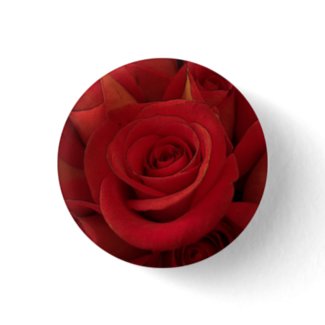 Red Roses Button button