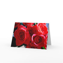 Red Roses cards by photomorgana Red Roses cards