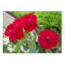 Red Roses