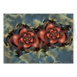 red roses