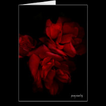 Red Roses Card cards