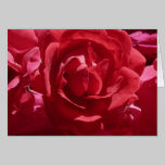 Red Roses Card cards