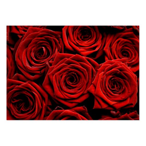 Red Roses Direction Cards Business Card Template (front side)