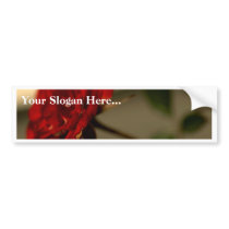 Red Roses Flowers bumper stickers by lifesphere Red Roses Flowers bumper stickers