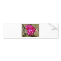 Red Roses Flowers Garden bumper stickers by lifesphere Red Roses Flowers Garden bumper stickers