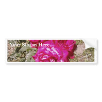 Red Roses Flowers Garden bumper stickers by lifesphere Red Roses Flowers Garden bumper stickers