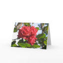 Red Roses Greetings Card