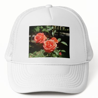 Red Roses Hat by greatphotos
