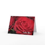 Red Roses, I Love You Cards