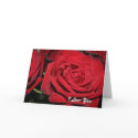 Red Roses, I Love You cards