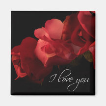 Red Roses "I Love You" Romantic Magnet