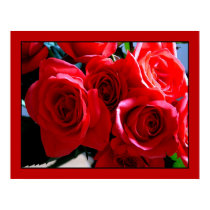 Red Roses II posters by photomorgana Red Roses II posters