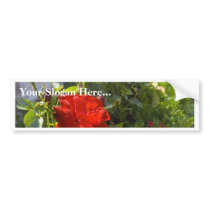 Red Roses In Castle Gardens bumper stickers by lifesphere Red Roses In Castle Gardens bumper stickers