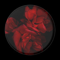Red Roses Magnet magnets