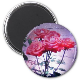 Red Roses Magnet magnet