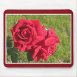 Red roses Mousepad