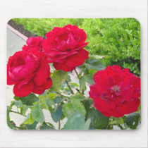 Red Roses mousepads