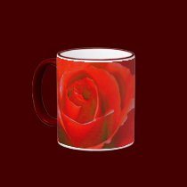 Red Roses Mug Coffee Cup Beautiful Rose Decor mugs