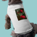 Red Roses Pet Shirt pet clothing