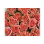Red roses postcard