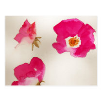 Red Roses Postcard postcards