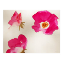 Red Roses Postcard postcards