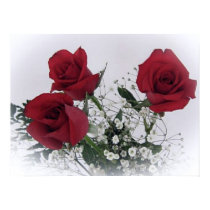 Red Roses Poster posters by elenaind Red Roses Poster posters