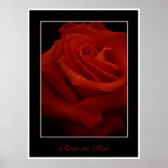 red roses poster