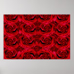 Red roses posters, prints, pictures, photos,
