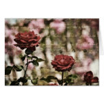 Red Roses Romantic Garden Greeting Cards