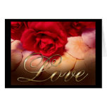 Red Roses Sand Dollars Love