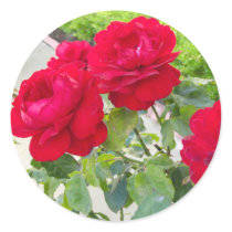 Red Roses stickers by DonnaGrayson_Photos Red Roses stickers