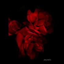 Red Roses T-Shirt